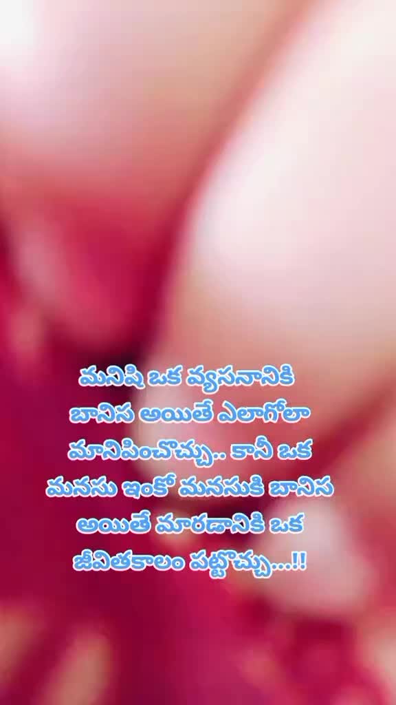 @dhandalaswami