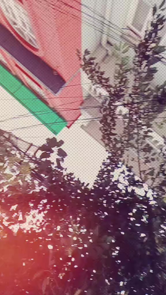 @🐼🔥⃝×͜×🆂🅷🅰🅽🅺🅰🆁🔥⃝×͜×🐼