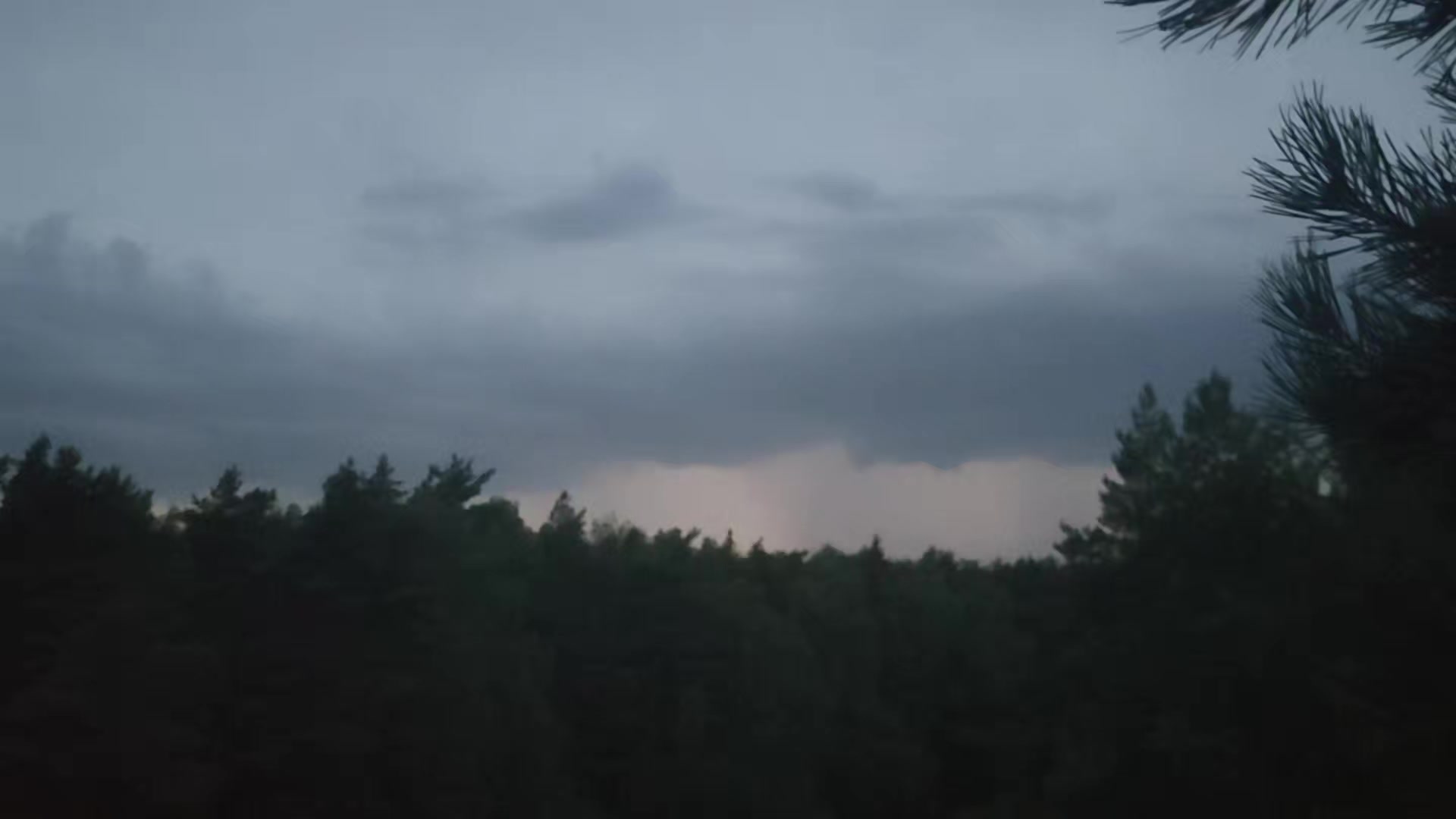 @я тупа свег щя
