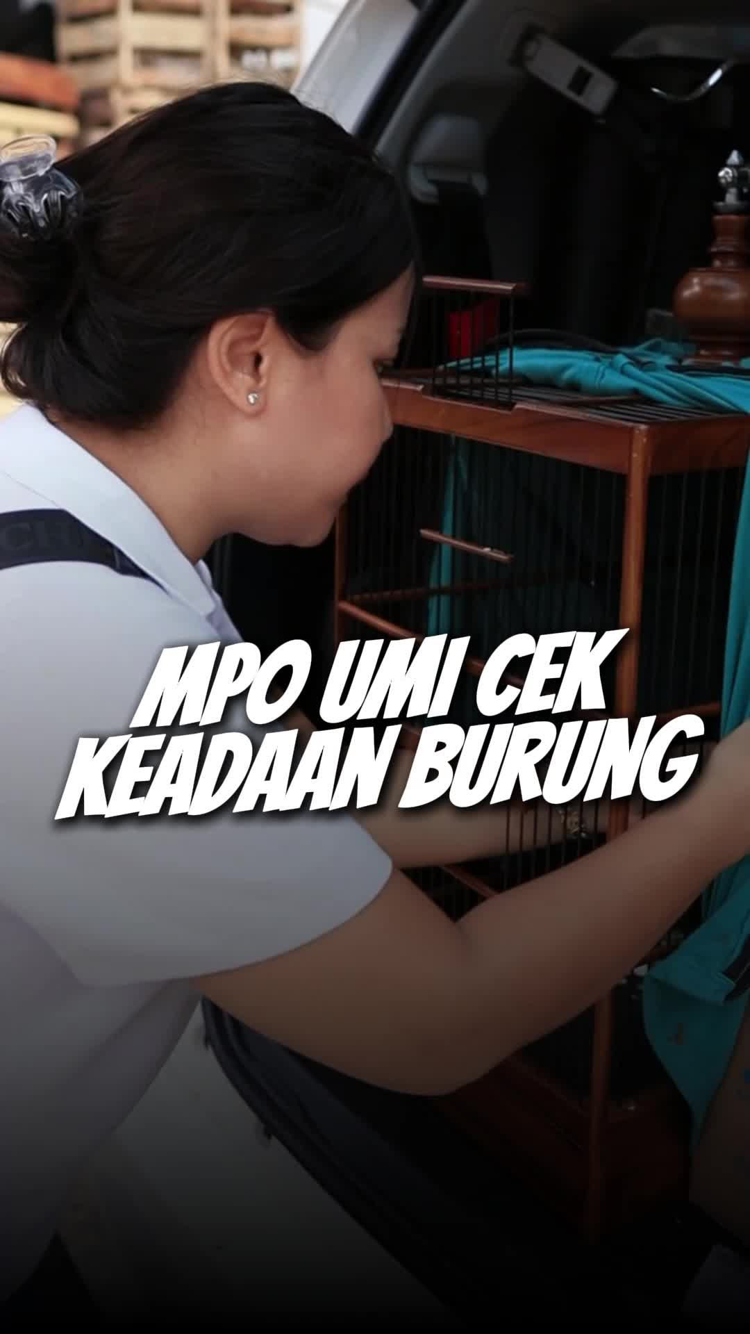 @umikasum.official