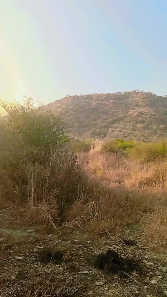 @muhaibkhan9696