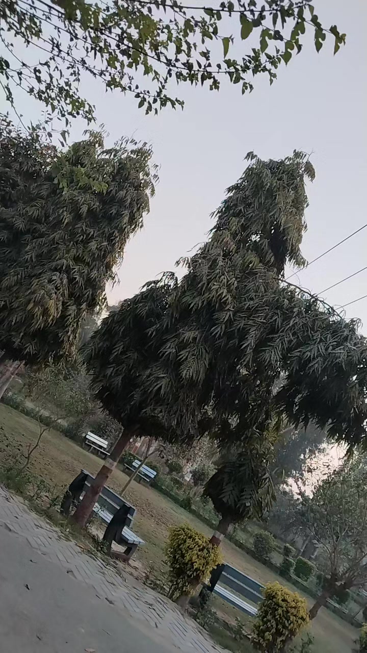 @sky