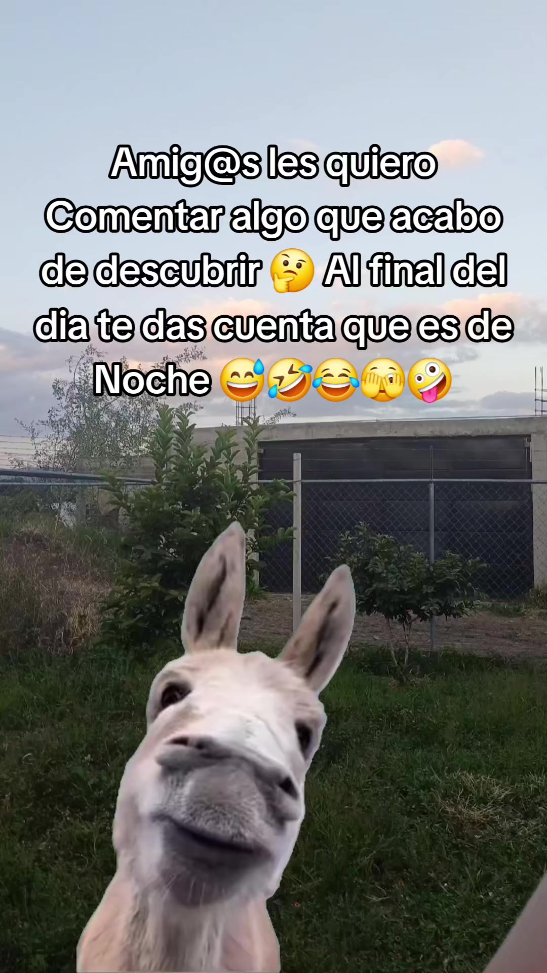 @✨️🫀la Güera🕊🍓