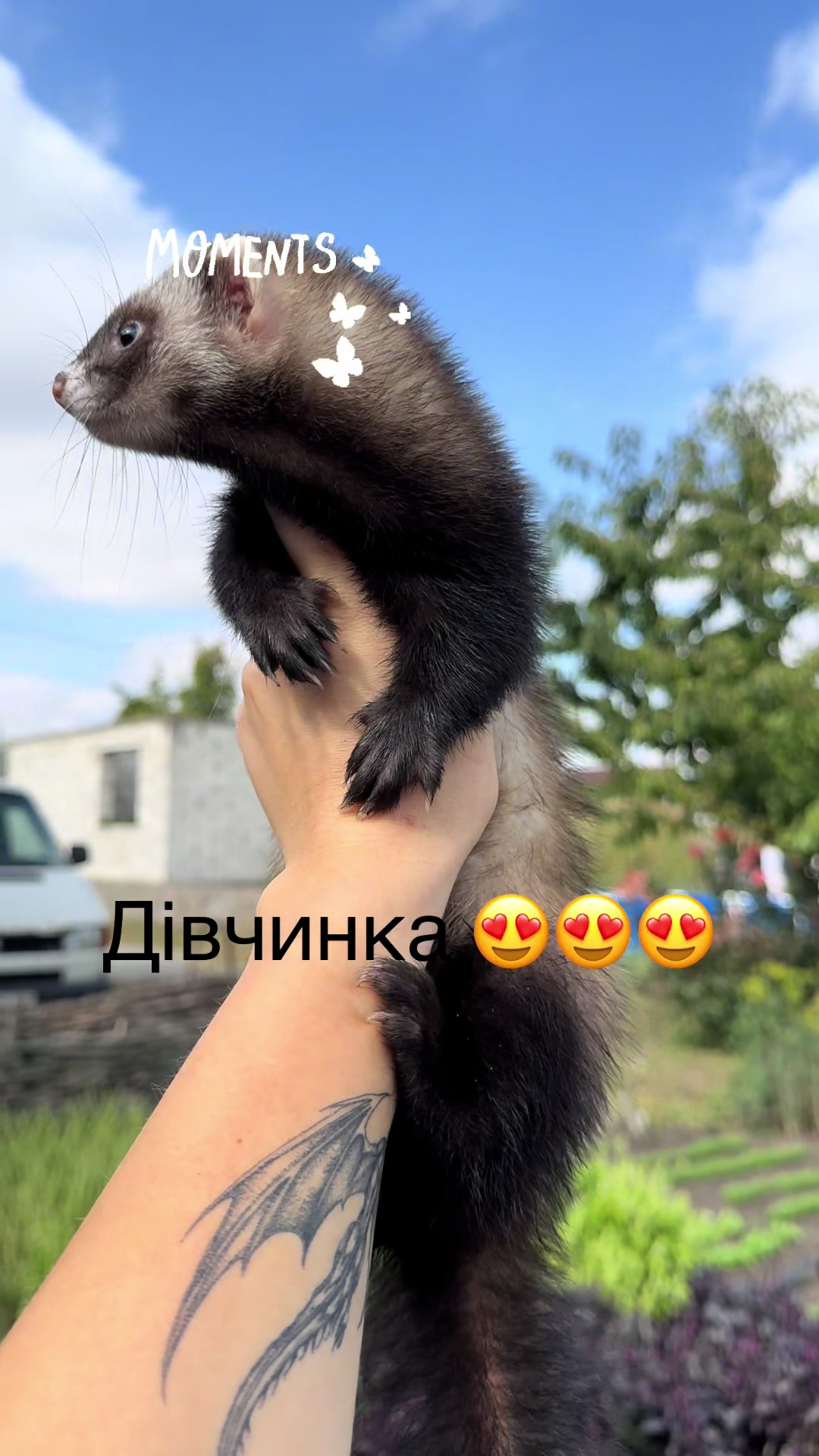 @🦦 Хорьки Київ 🇺🇦