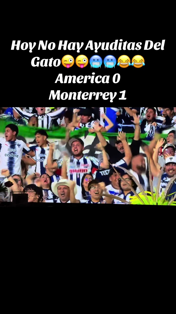 @elbuenavida58