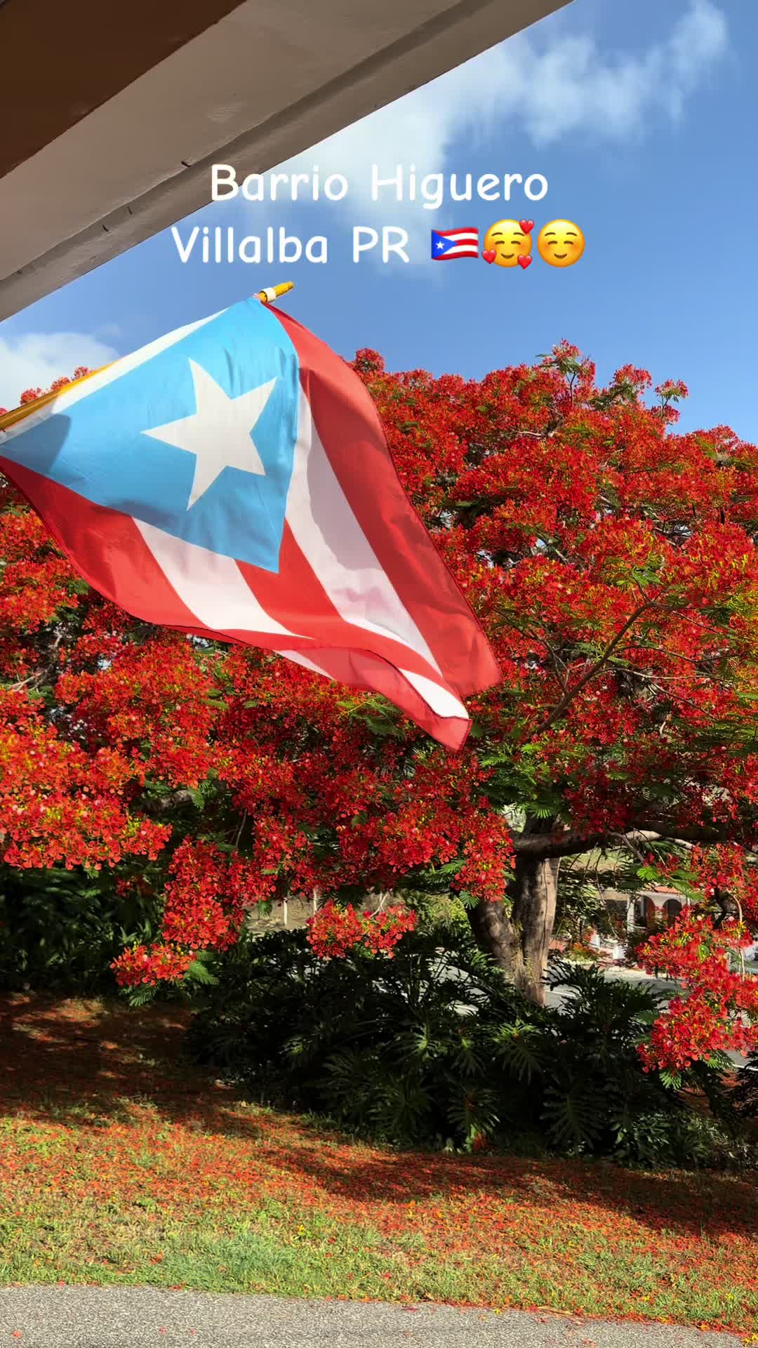 @@Rafael-PR🇵🇷