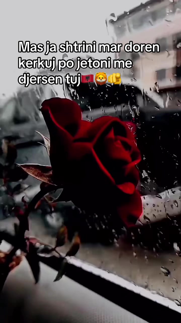 @ShKODRANE👸🏼🇦🇱🦁