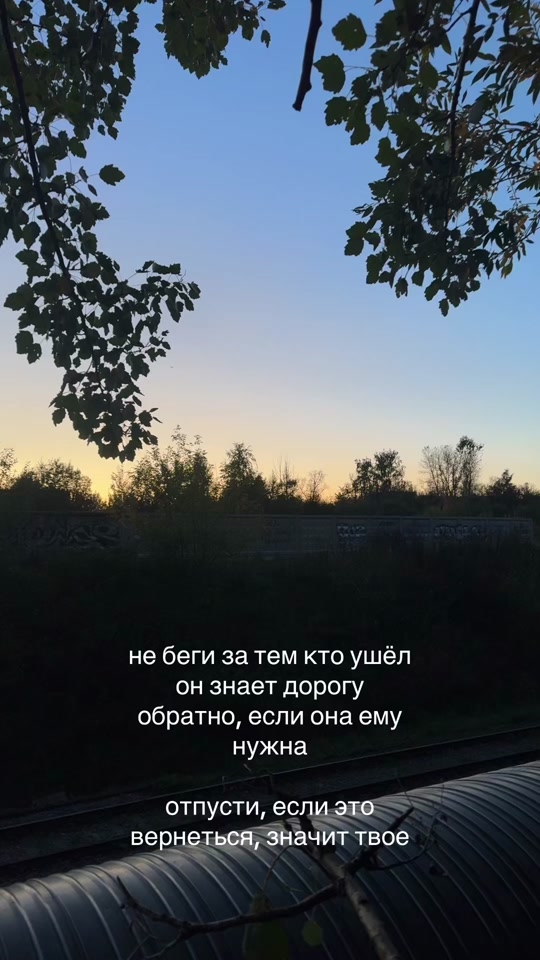 @Saukova
