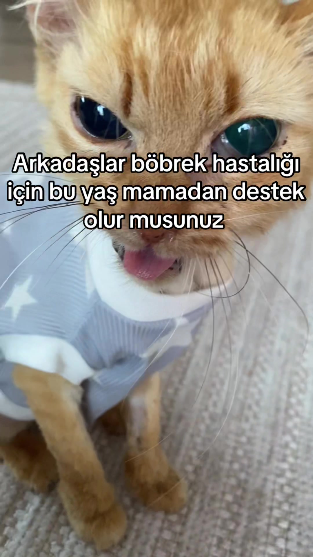 @yudummz_