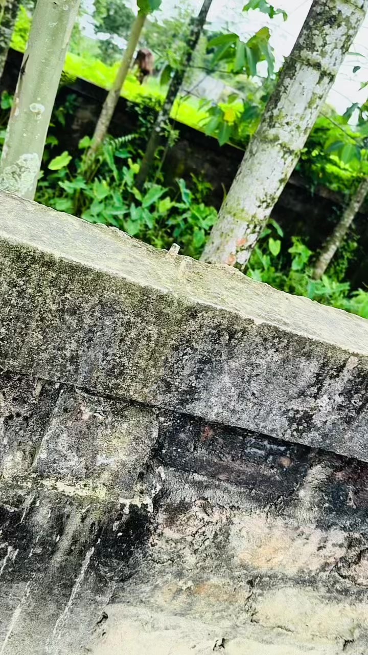 @🥰𝓢𝔂𝓵 ᭄𝓘𝓶𝓻𝓪𝓷✿𝓑𝓸𝓼𝓼࿐