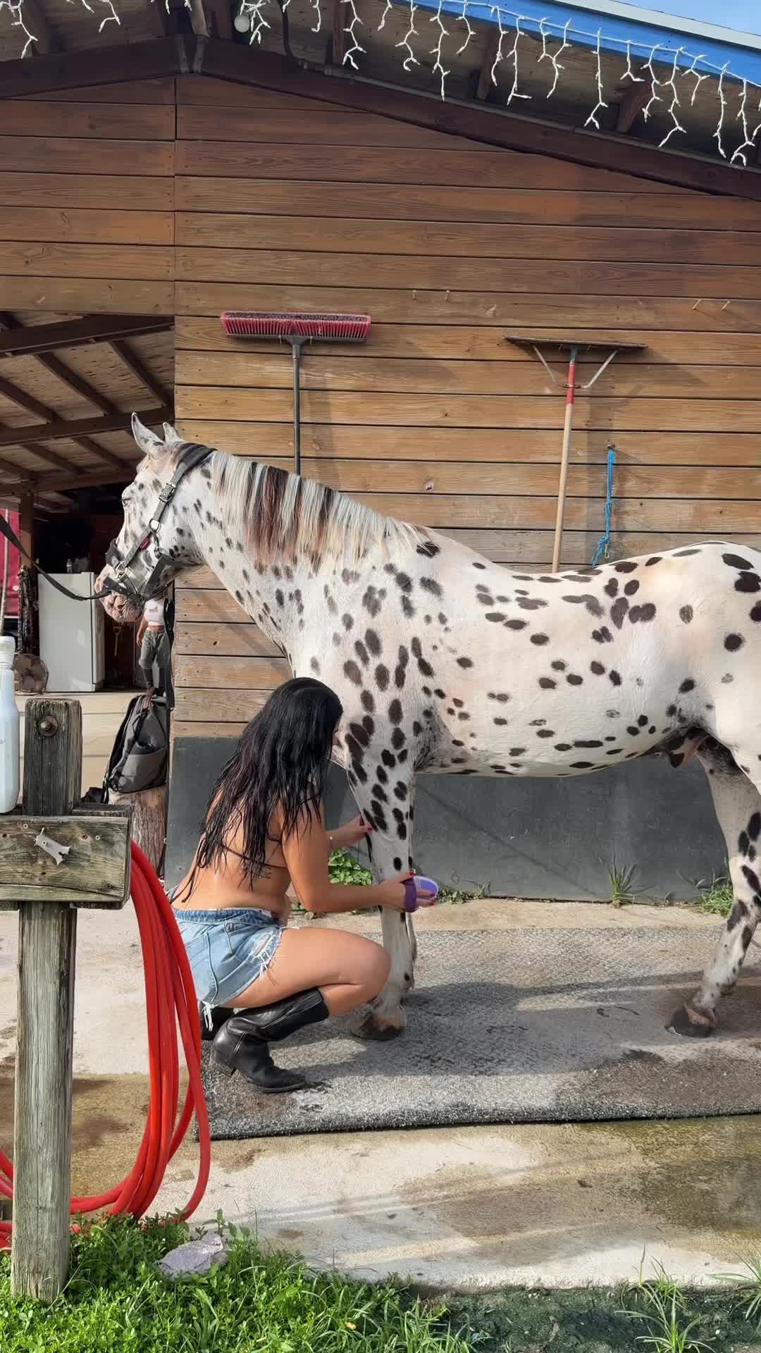 @Steffzia