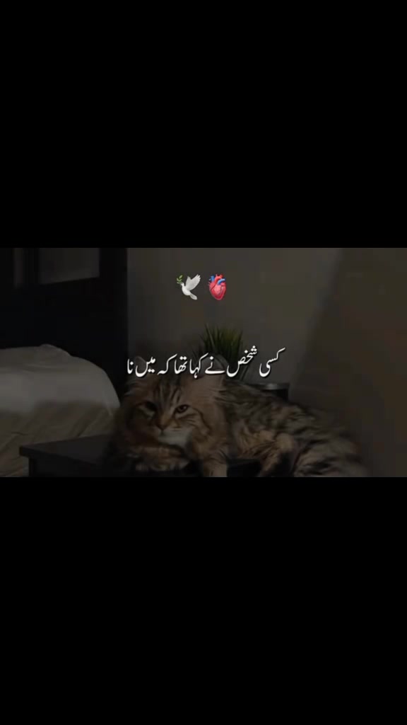 @{𝐀𝐋𝐢}°𝐒𝐮𝐥𝐭𝐚𝐧 𝐨𝐅𝐅⛎