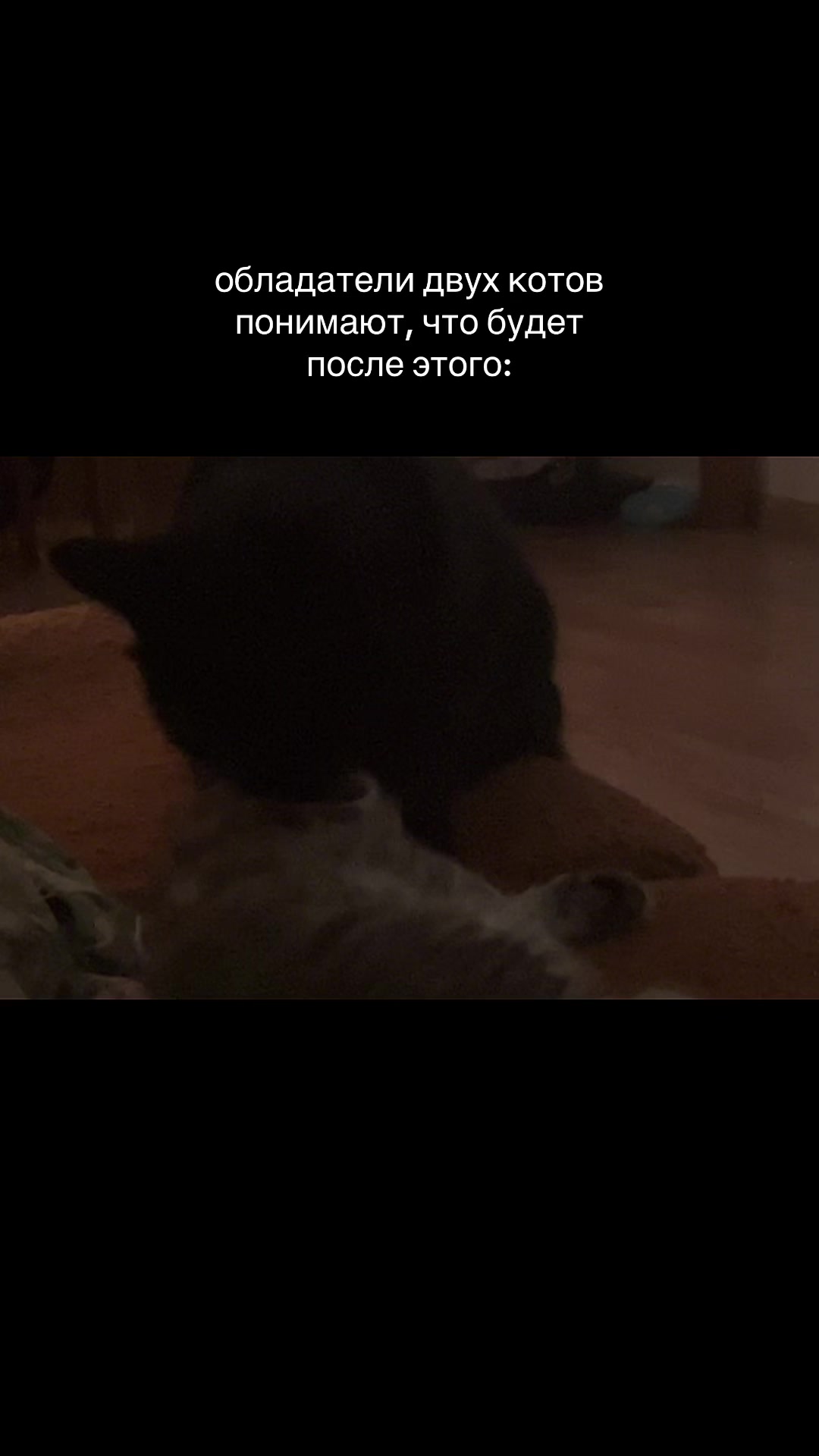 @ненастья