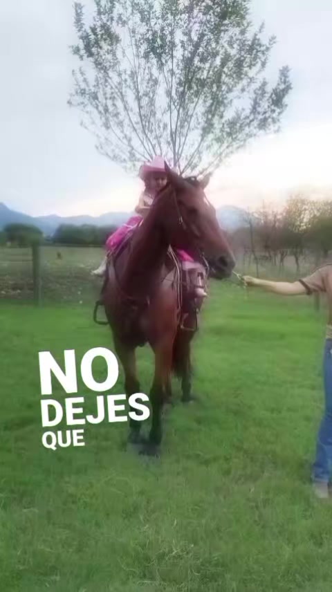 @NOHEMY BANDA