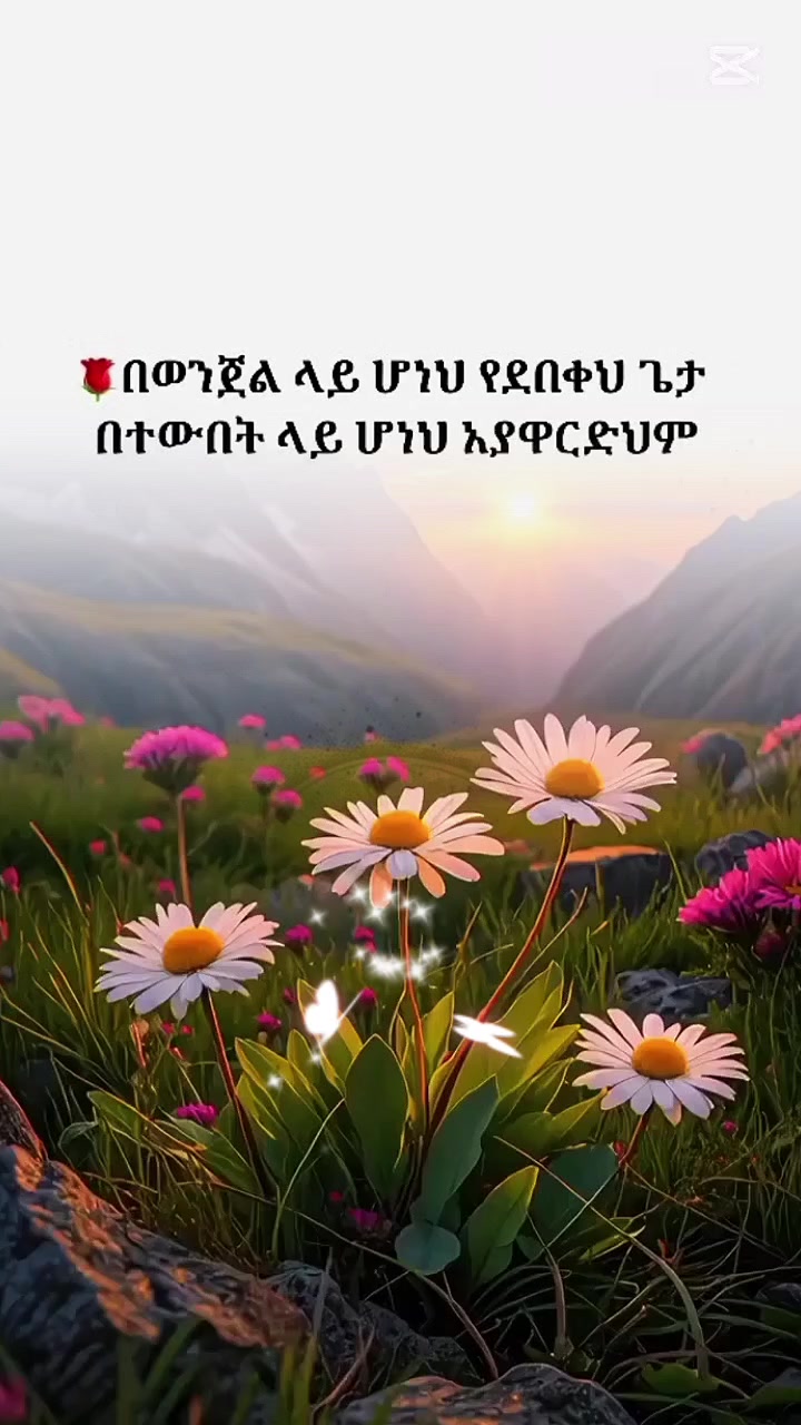 @R🦋🦋🦋