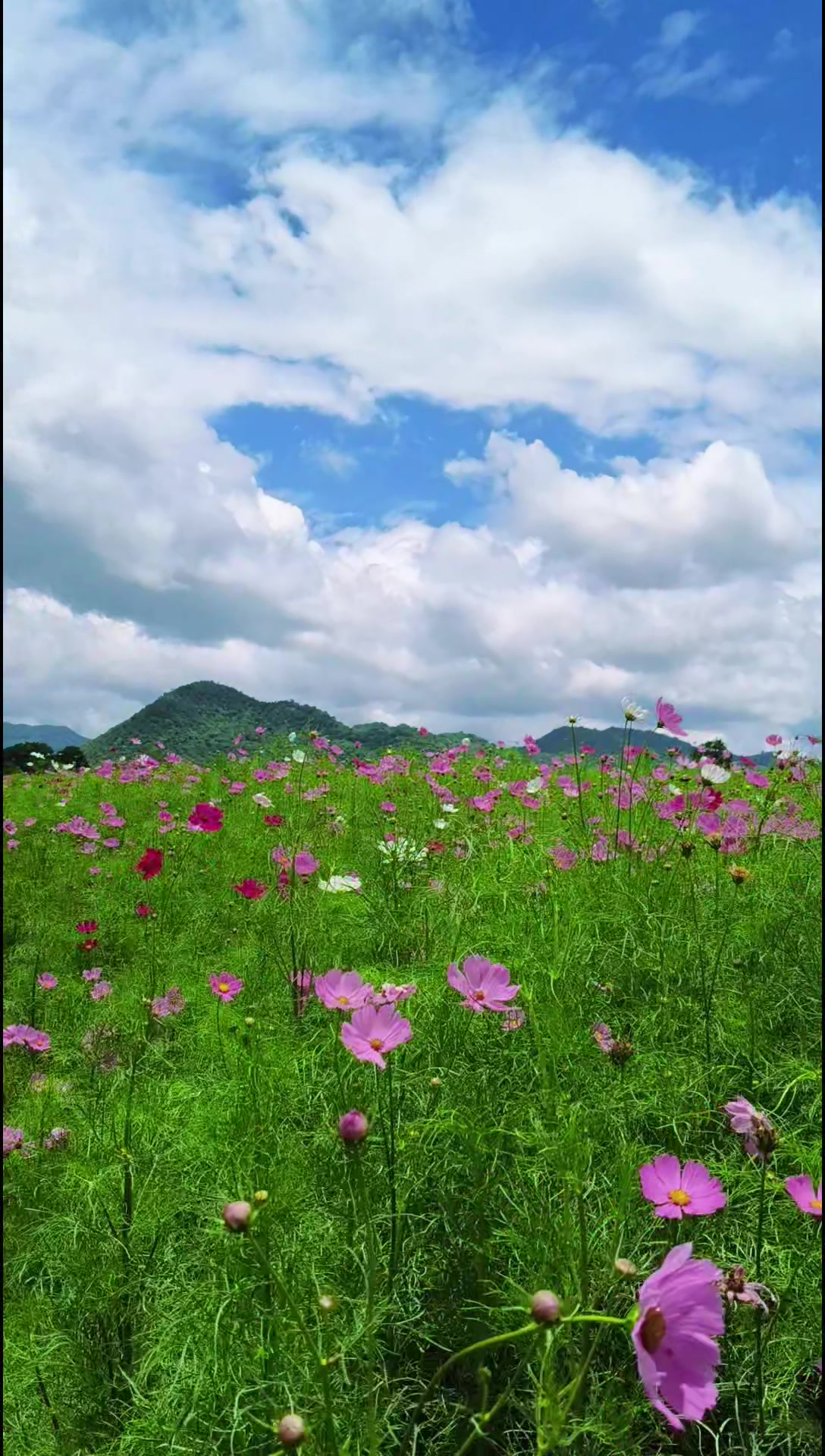 @Ranee"Li^^