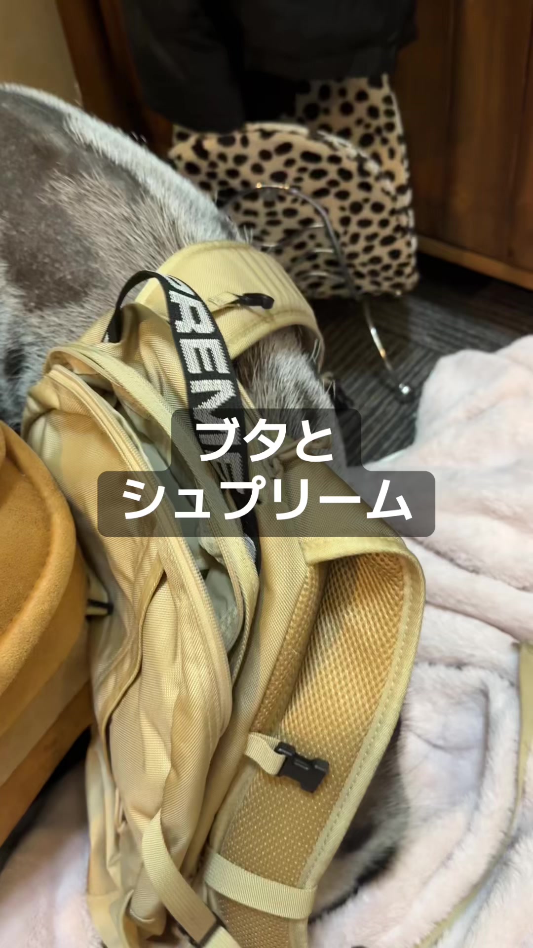 @ほりだいの日常