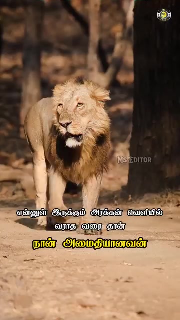 @prasanth baby 🗡🇱🇰