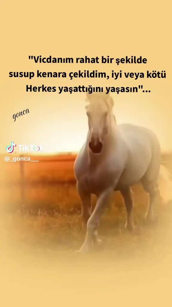 @🇹🇷🤘🇹🇷ALFA KURT 46 🇹🇷