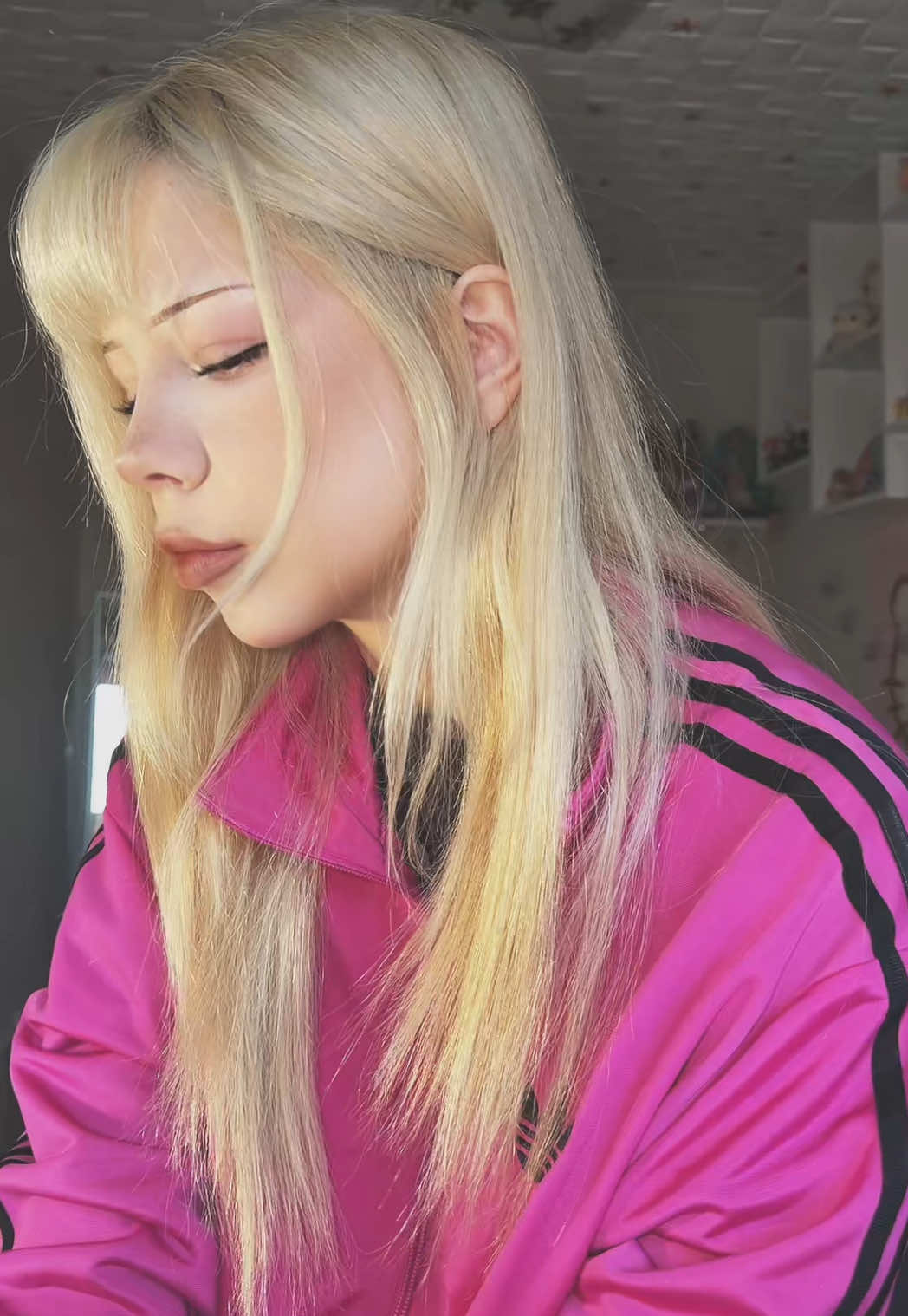 @augushaa