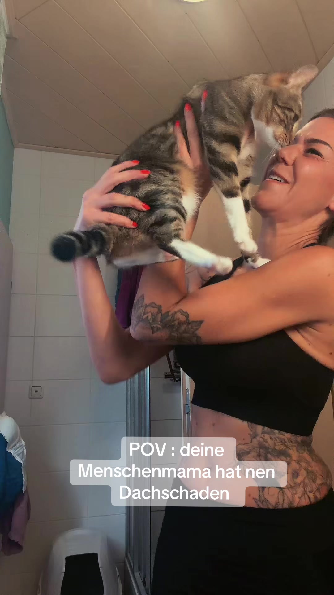 @Oscar & die Katzenbande