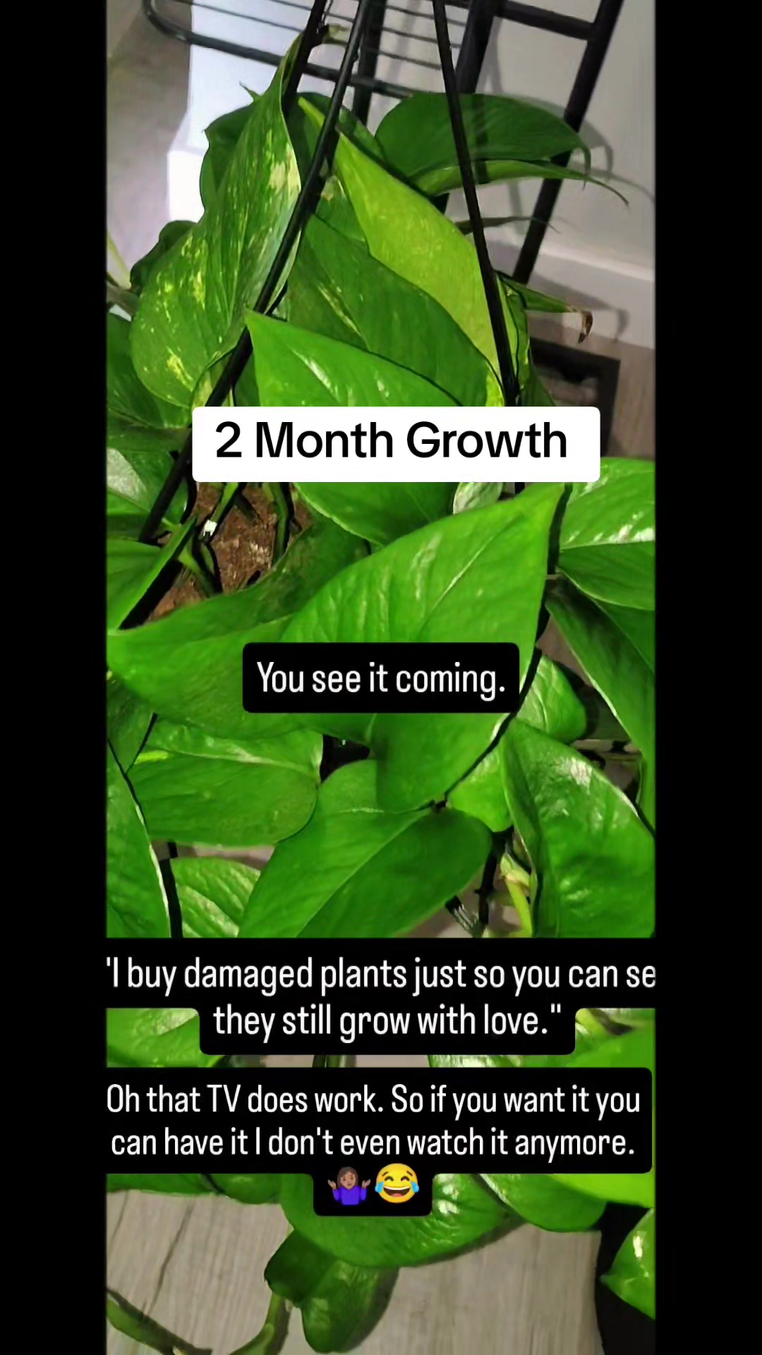 @TaylorMayd
