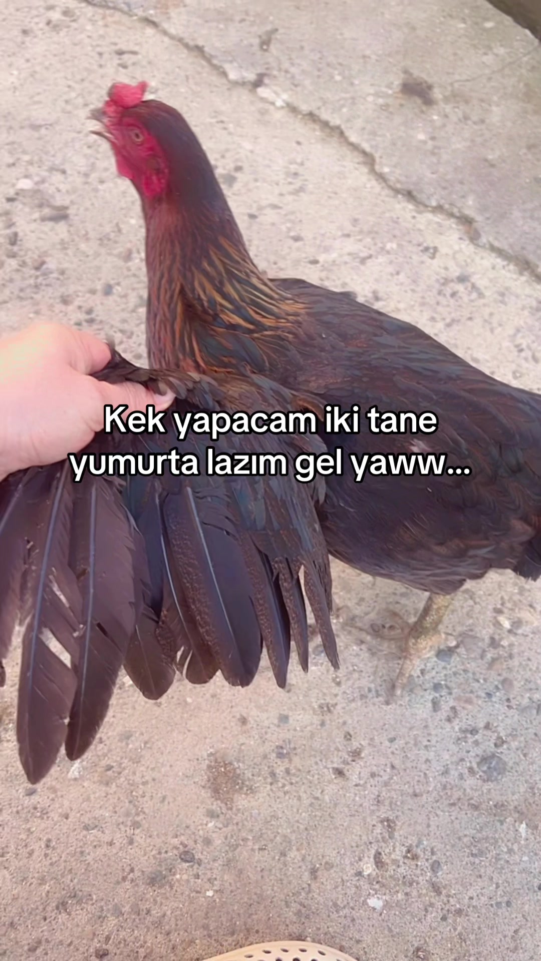@M,G