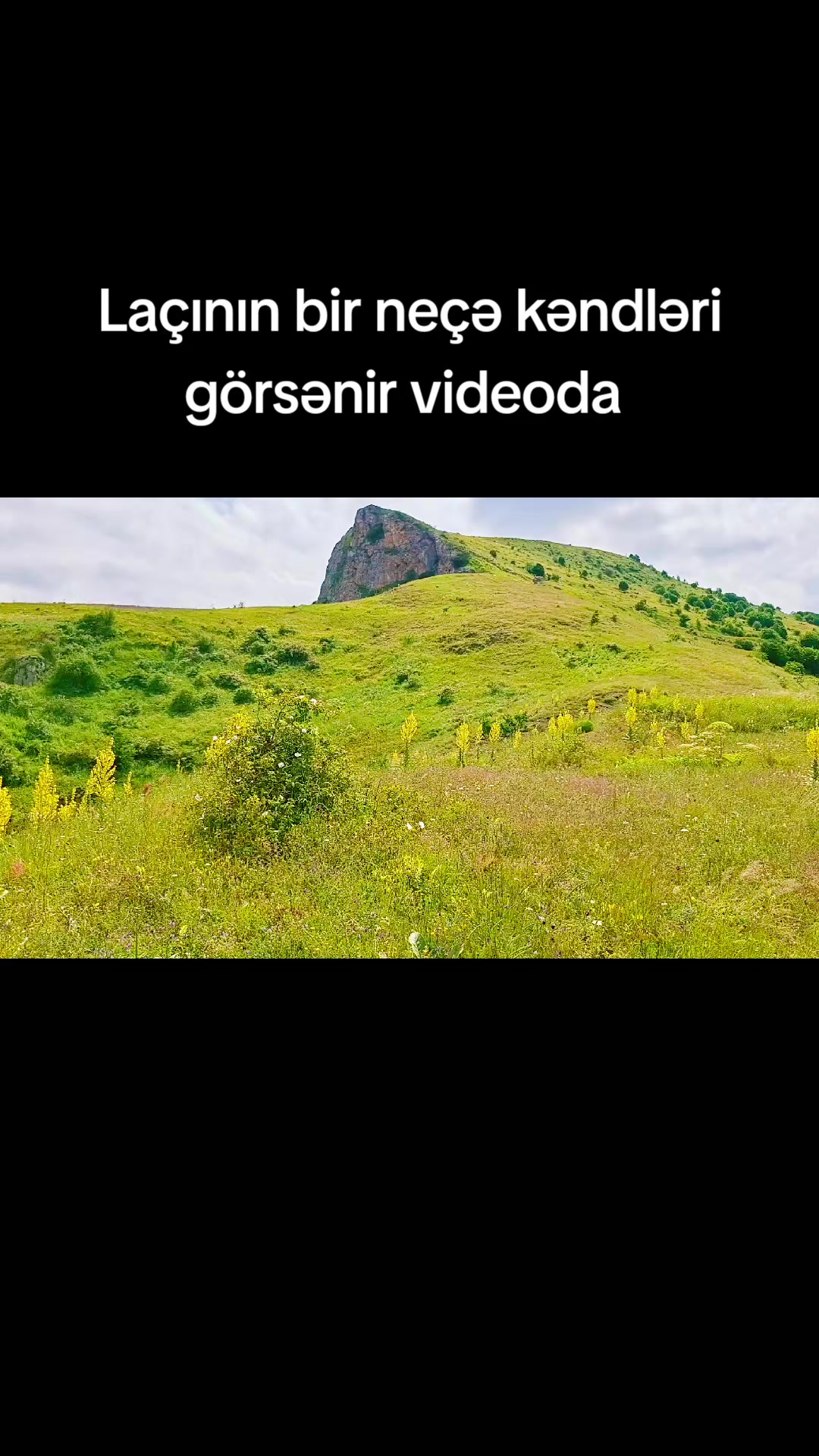 @꧁༺AMİL 041༻꧂🖤🦅𝟎𝟒𝟏