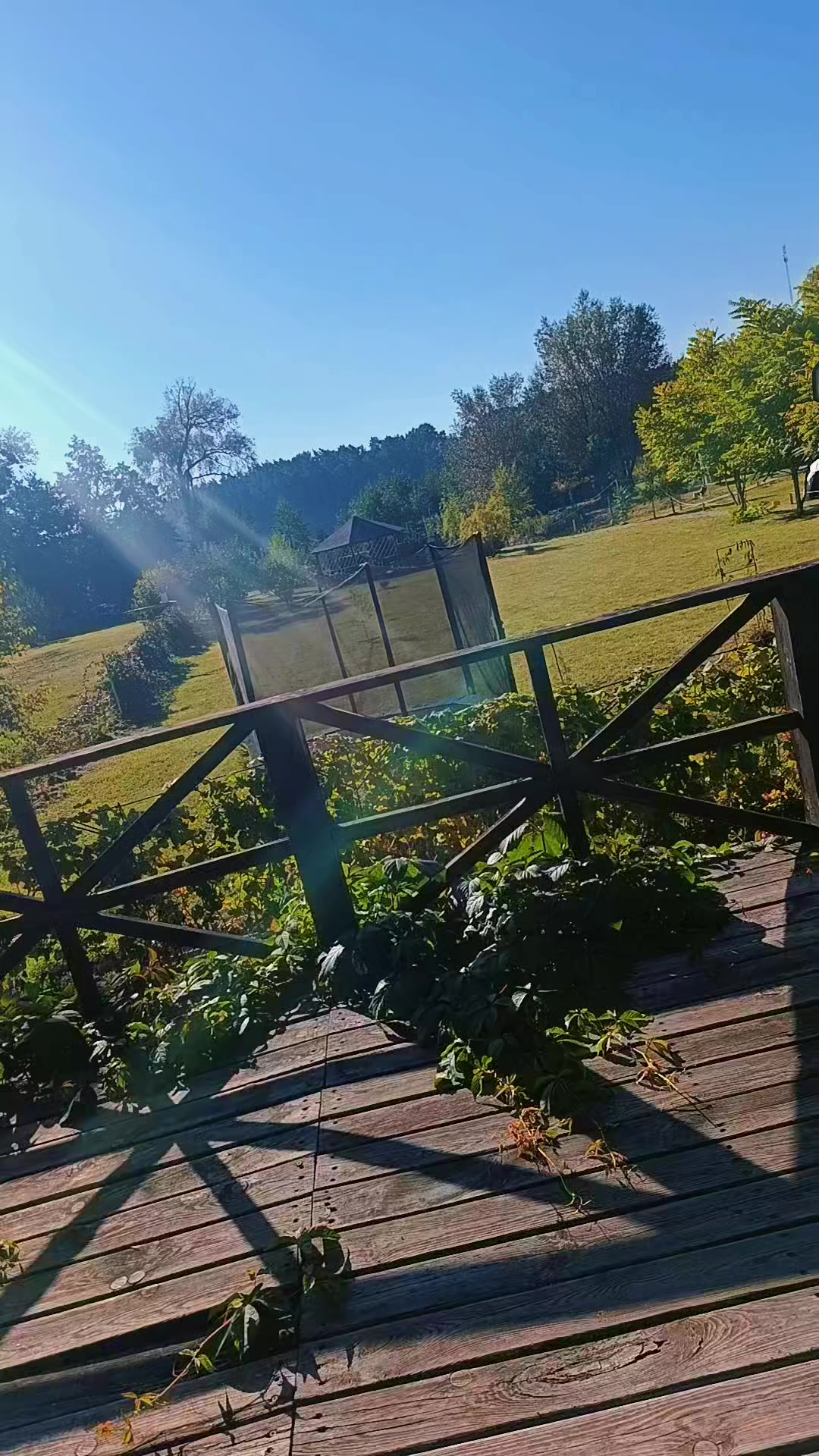 @Кіса😸