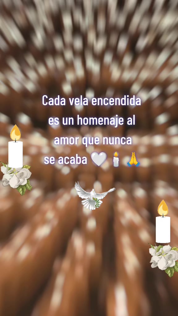 @Alquileres Jacky