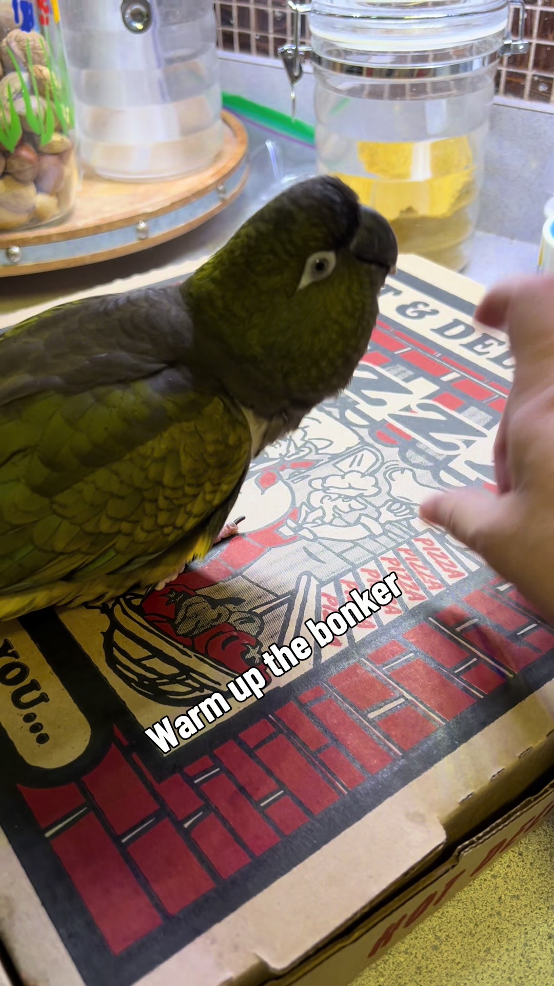 @Rain Blossom Birds