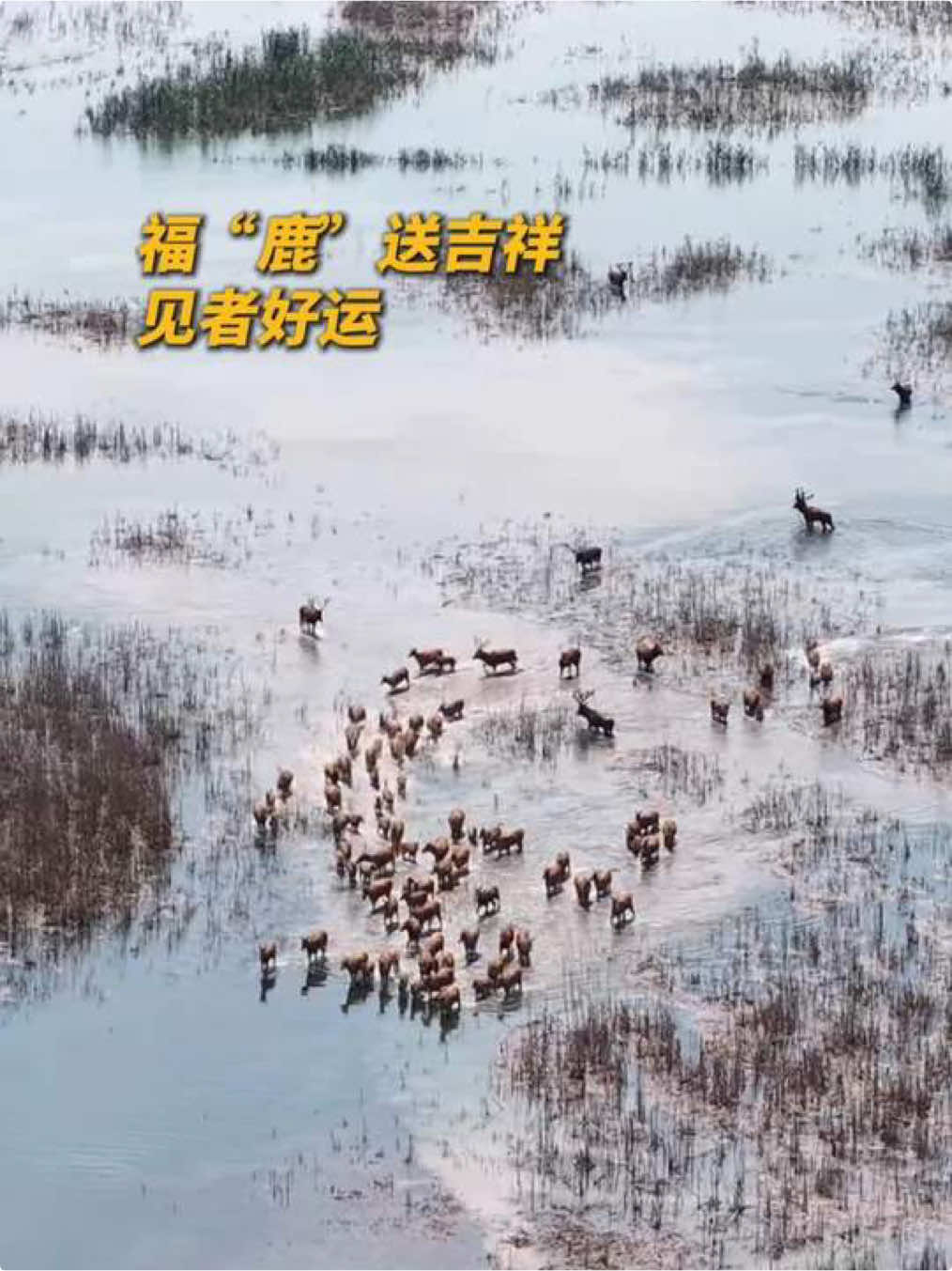 @中国青年