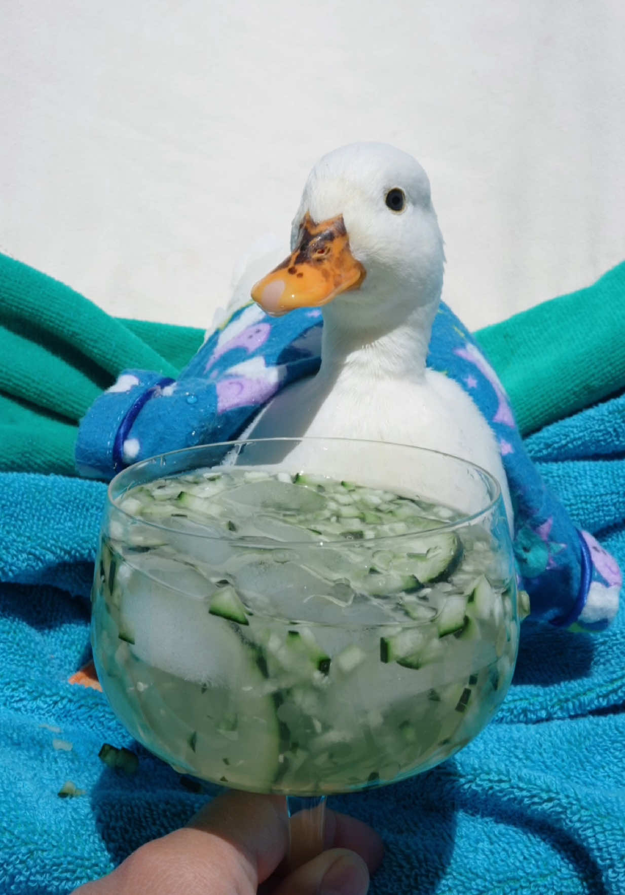 @ducks_in_space🪿🪿💦