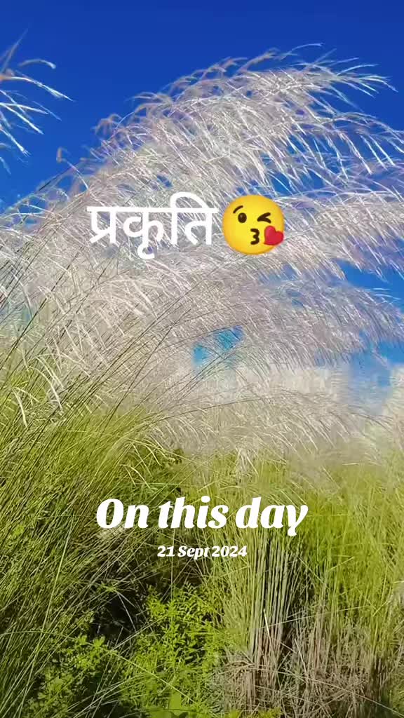 @babi younghang limbu