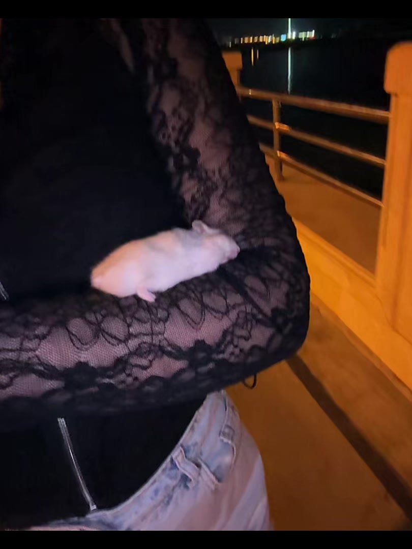 @hamster.cuppulu