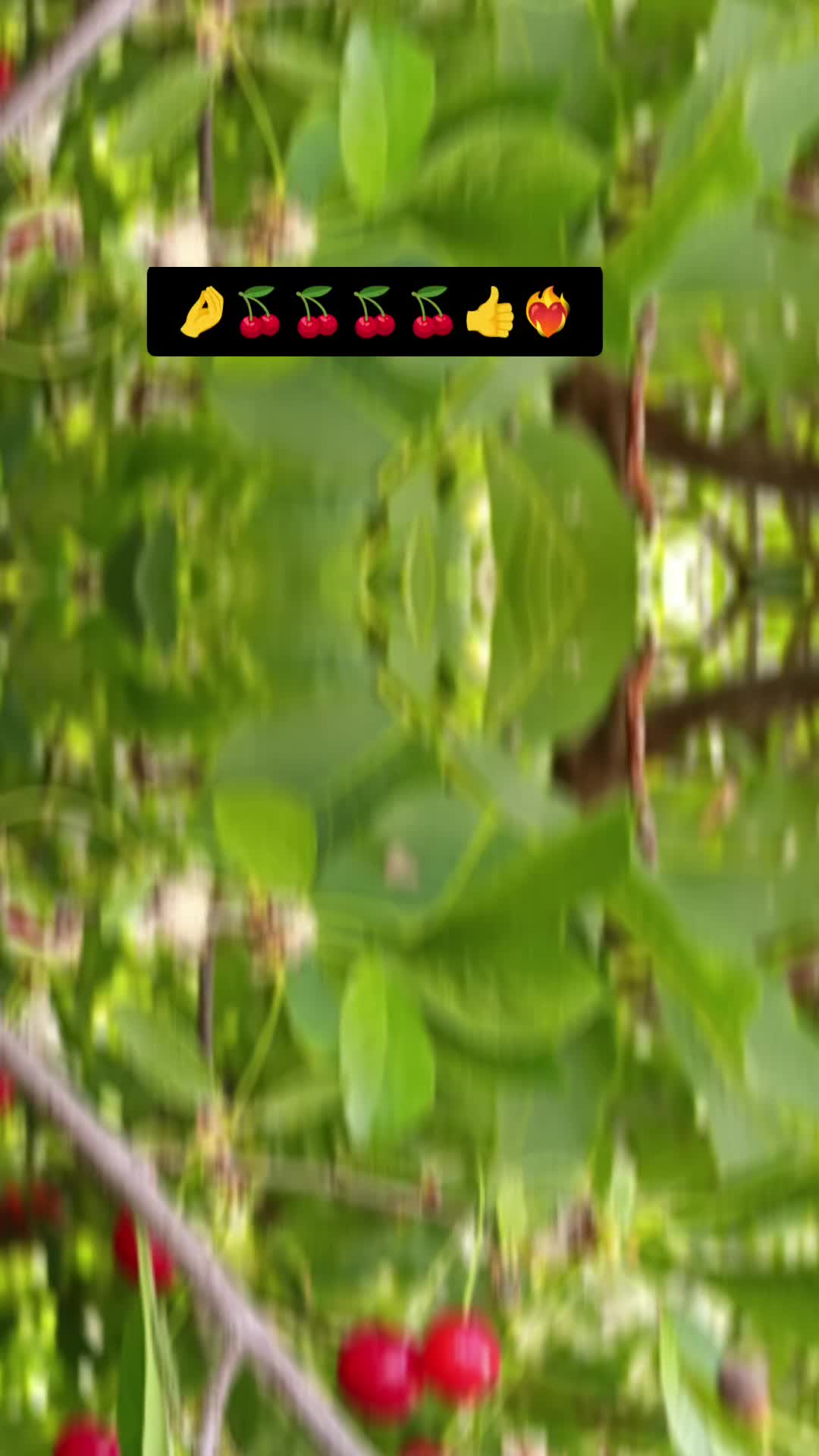 @🩶34.51🩶