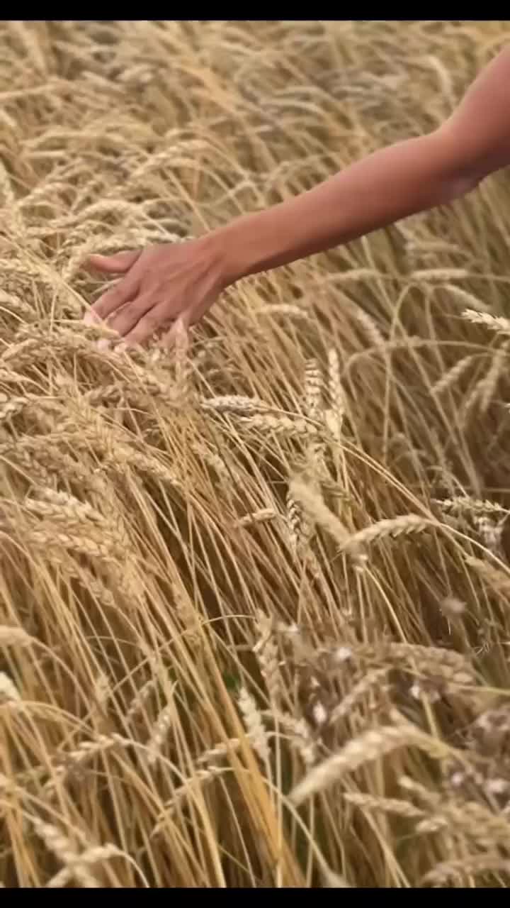 @Гузеленька