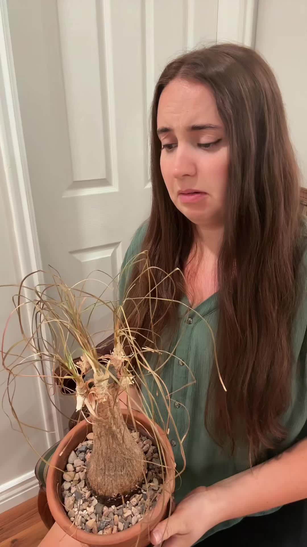 @Liv Floral