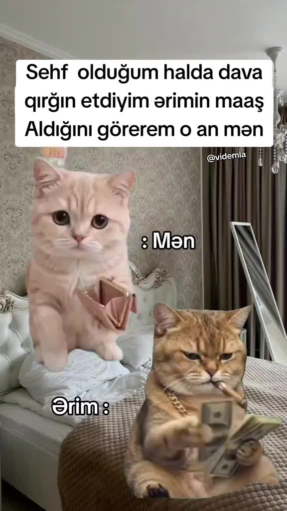 @M.G&uuml;lnur👸
