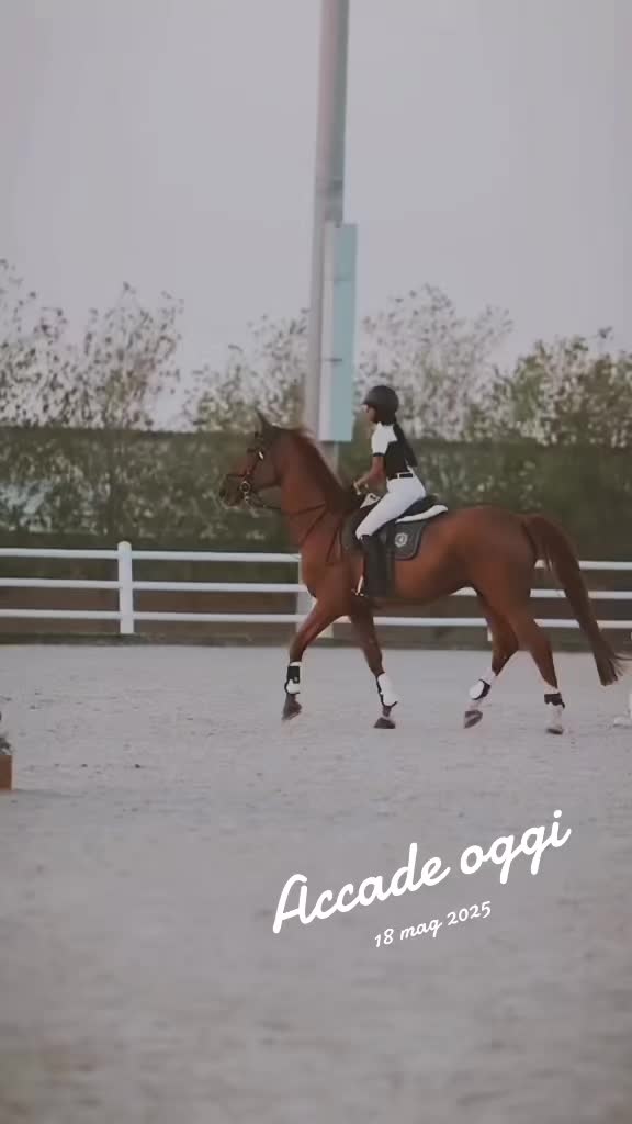 @Desy🐴