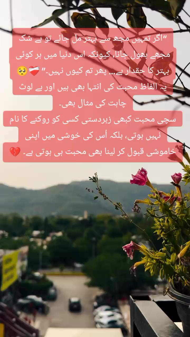 @Saim🫀