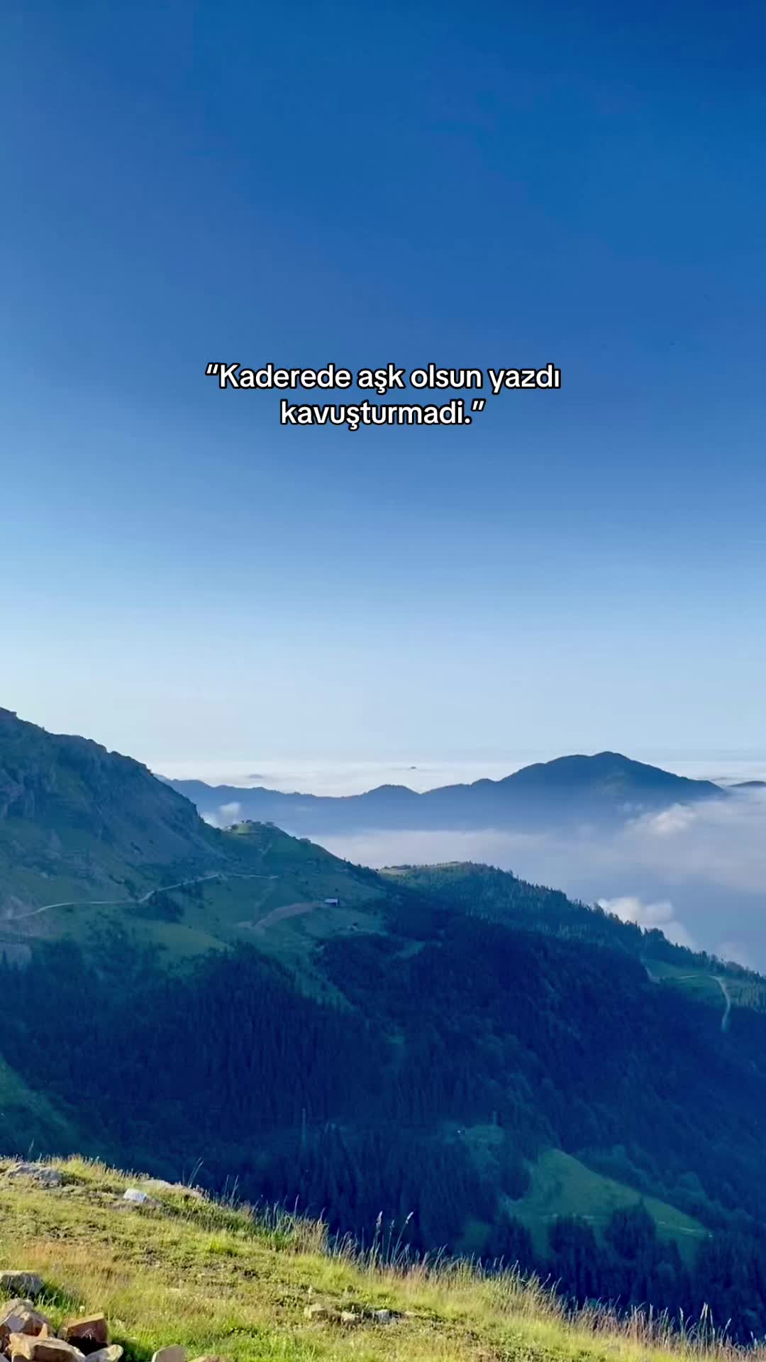 @S✨