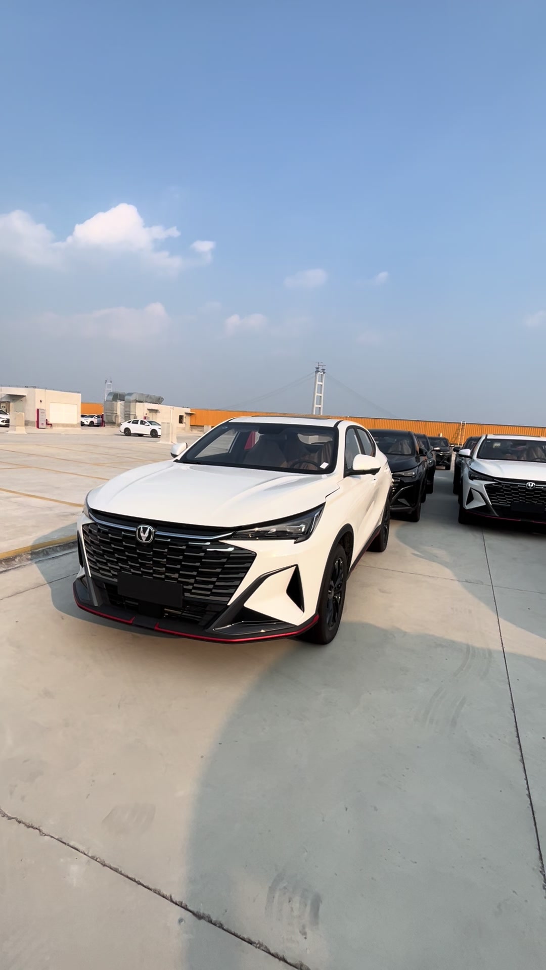 @China EV Export Cars Supplier
