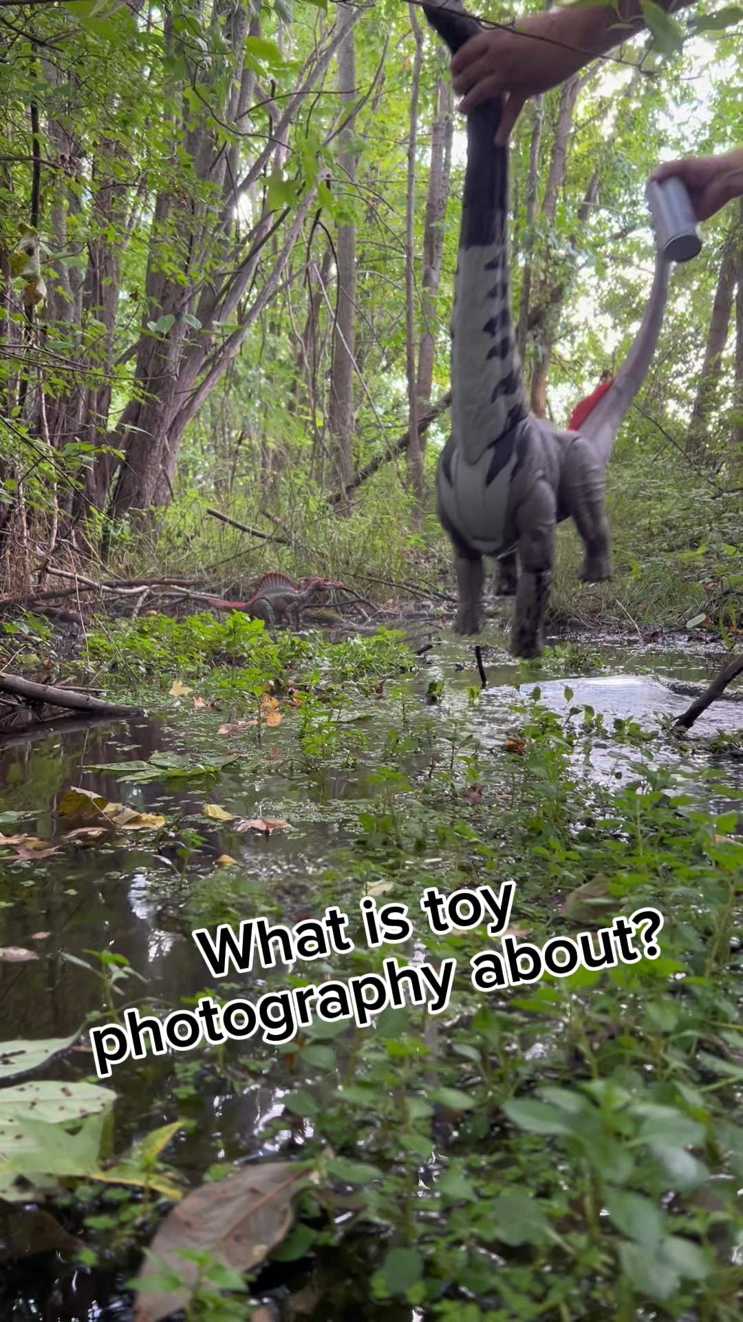 @Anthony