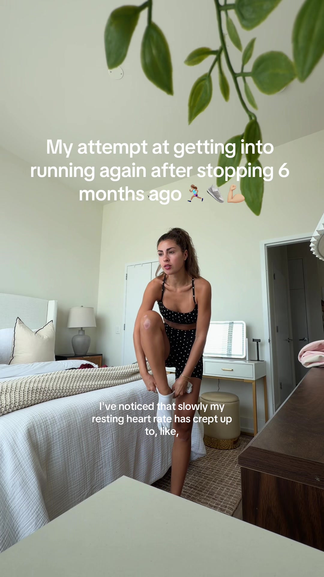 @Taylordonoghuee