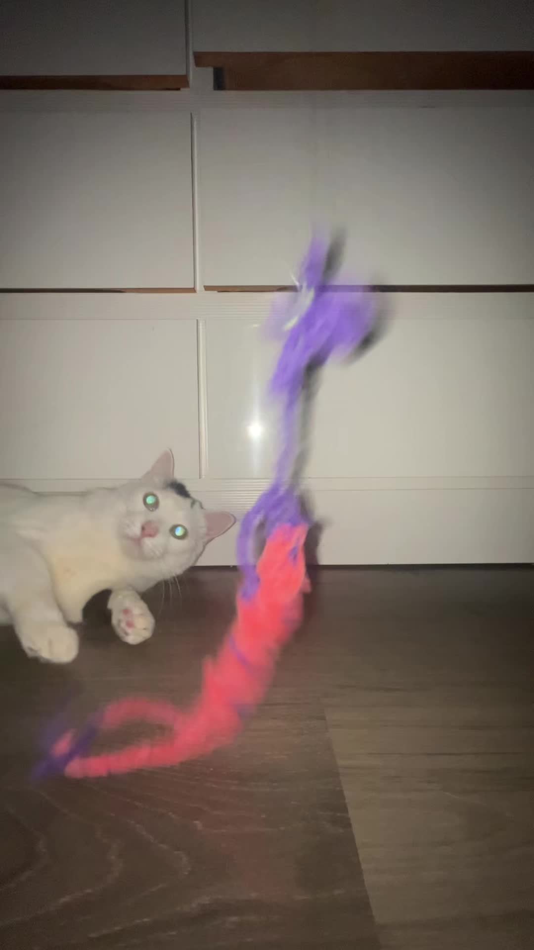 @pompompounder