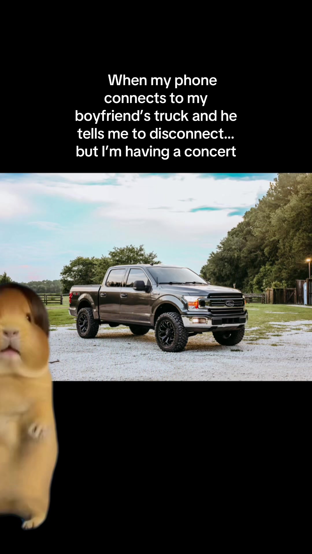 @Ashton Marino