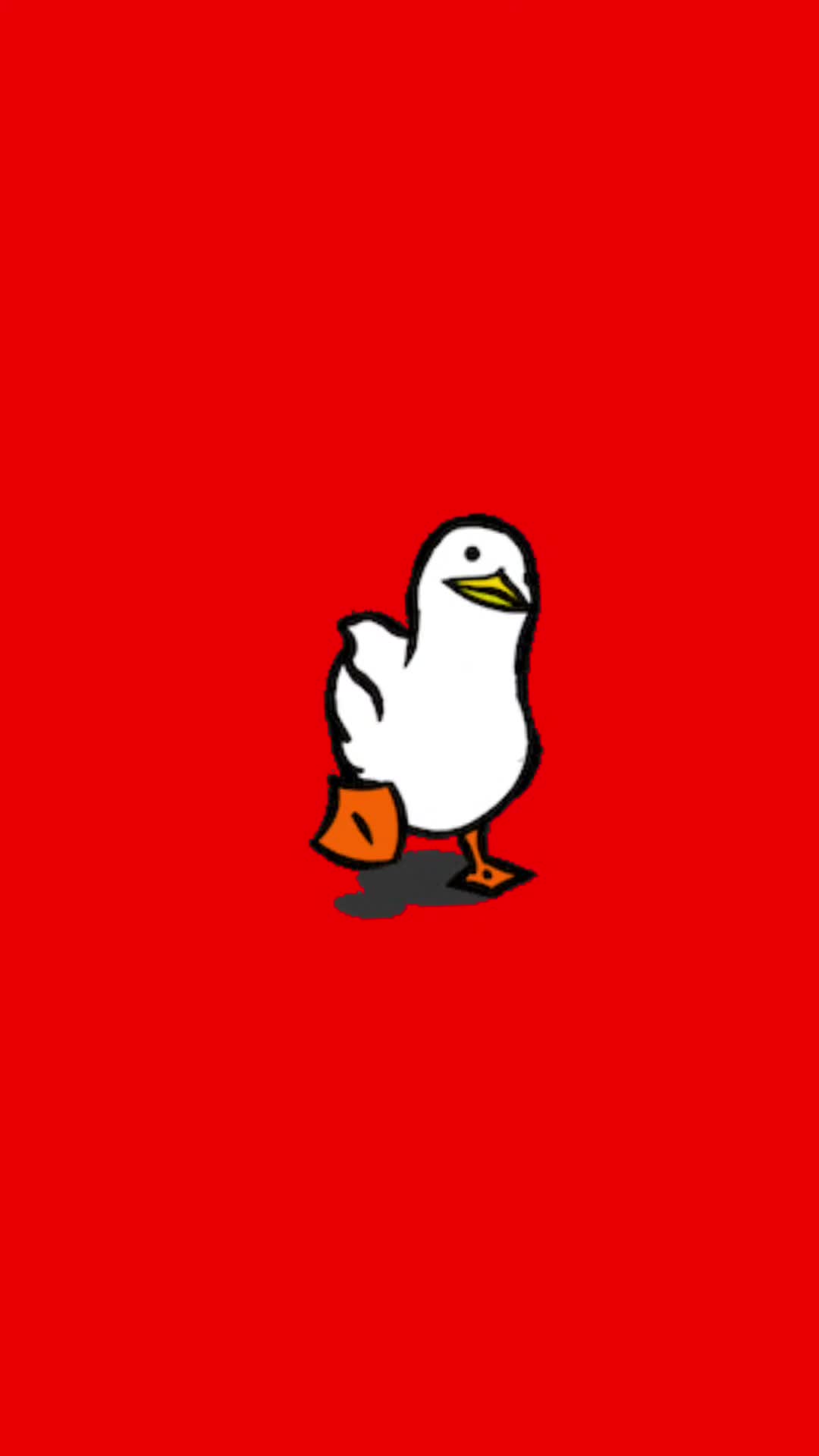 @Ducks