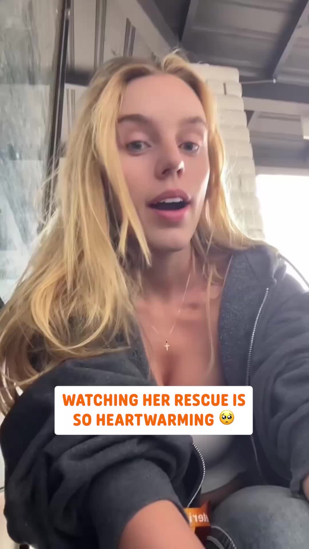 @Pawsome Pets