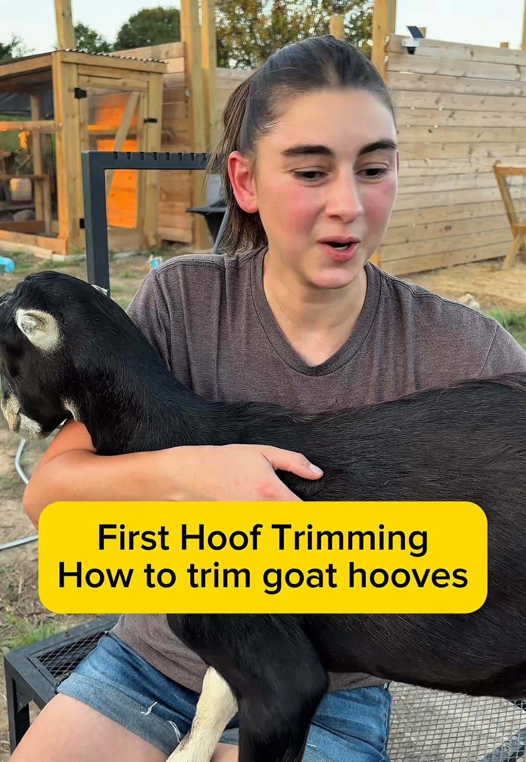 @Heart & Hoof Homestead